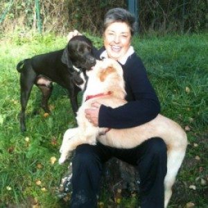 Foto di Federica, Dog Walker a Cavallasca