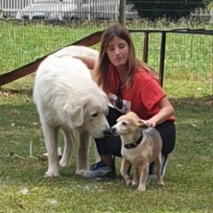Foto di Alice, Addestratore a Bassano del grappa