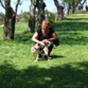 Foto di Moni, Dog Walker a Misano adriatico